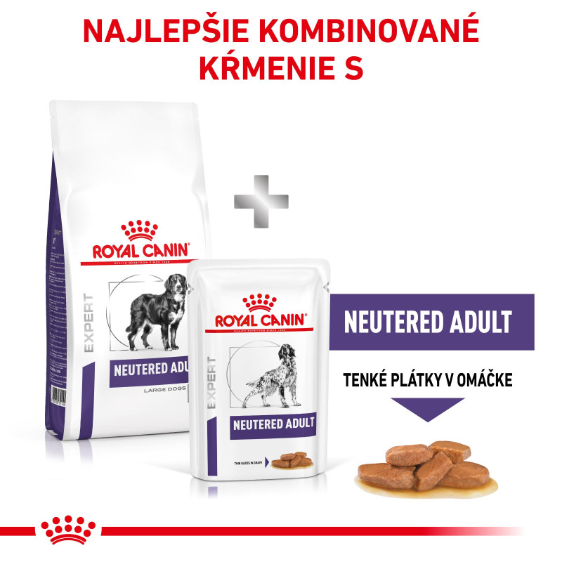 vhn-neutered-adult-large-15